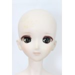 画像: DDSボディ＆DDH-07カスタムヘッド A-230712-203-ZA