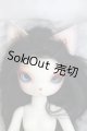 画像: DEARMINE/STORM〜Festival〜 I230730-1009-ZI