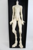 画像1: Miracle Doll/Animal Body I230827-1006-ZI (1)