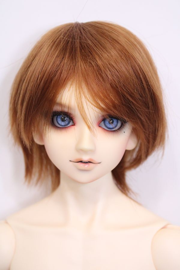 廃盤D.I.M Dambiヘッド＋SD少年ボディ ノーマル BJD ボークス - 趣味